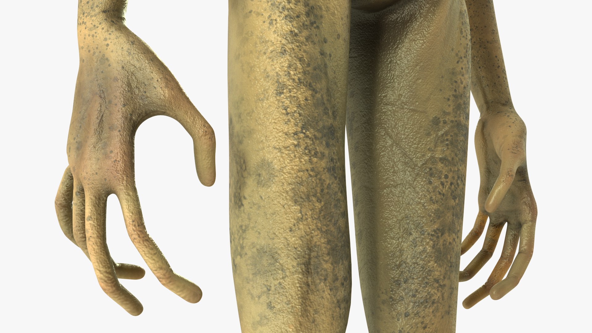 3D Standing Humanoid Alien model https://p.turbosquid.com/ts-thumb/cg/1mROVa/sq/standinghumanoidalien3dmodel009/jpg/1647882184/1920x1080/fit_q87/a10dfa15947680e60dc4a7d49a641a42a7b1d6f9/standinghumanoidalien3dmodel009.jpg