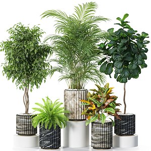 3D Plants collection 619