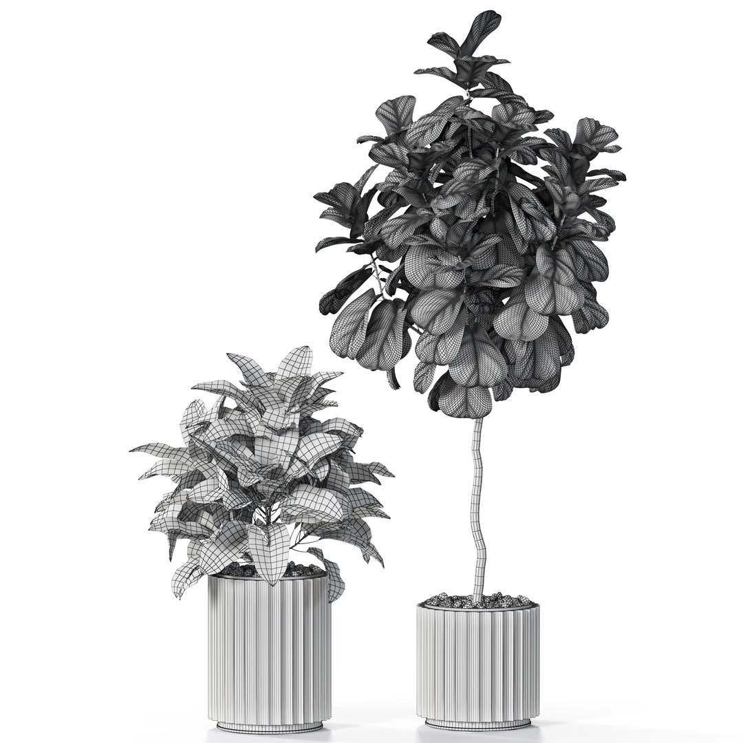 3D Plants collection 619 https://p.turbosquid.com/ts-thumb/cg/5NBH98/eS/plant_619_05.rgb_color1920width1920px/jpg/1645946188/1920x1080/fit_q87/714f5285dbc064c30976e43749b48565c334978a/plant_619_05.rgb_color1920width1920px.jpg