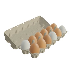 3D animated egg carton model
