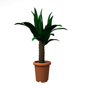 3ds max palm