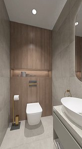 toilet boiler model
