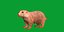 3D PrairieDog model