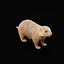 3D PrairieDog model