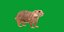 3D PrairieDog model