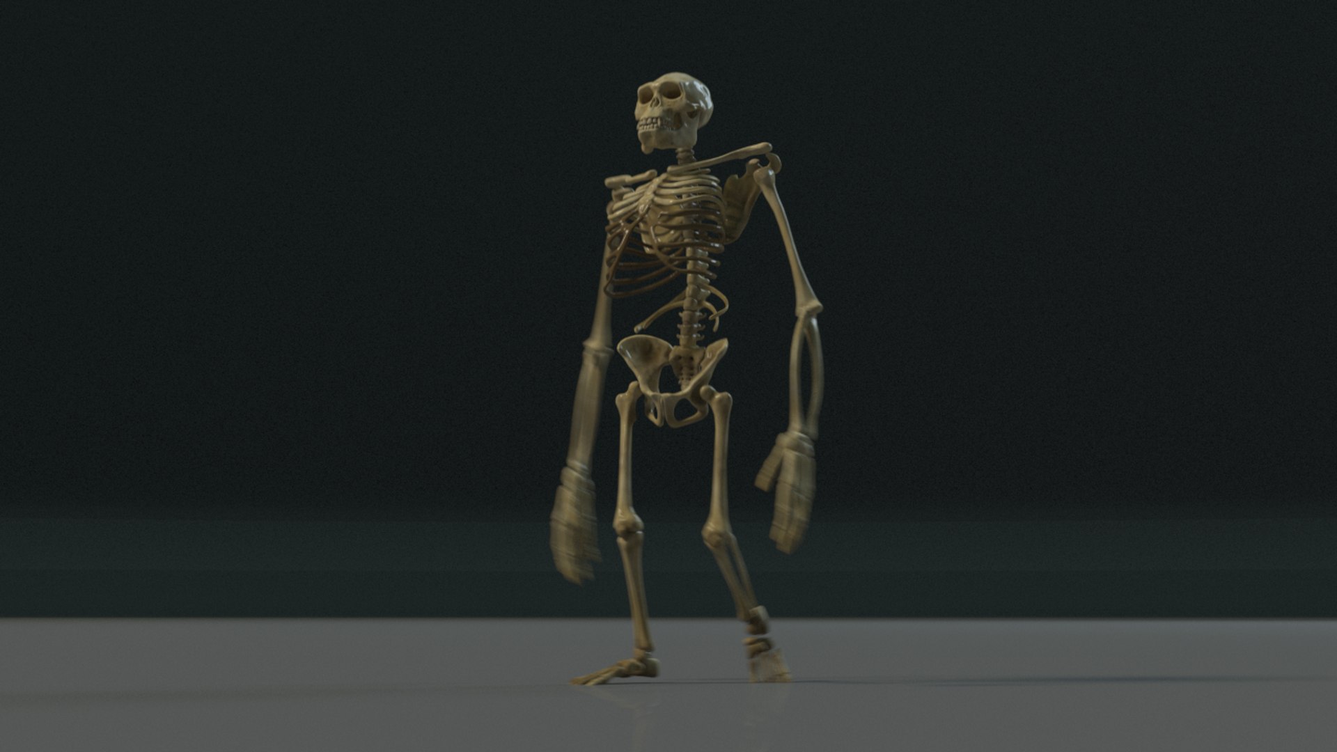 3D model kong skeleton https://p.turbosquid.com/ts-thumb/cg/mydwqb/2ZpLfAgi/kongskeleton_redshift3d.0001/png/1502884328/1920x1080/fit_q87/51057bda813df4a1491bcc16ee1f43e9422c4592/kongskeleton_redshift3d.0001.jpg