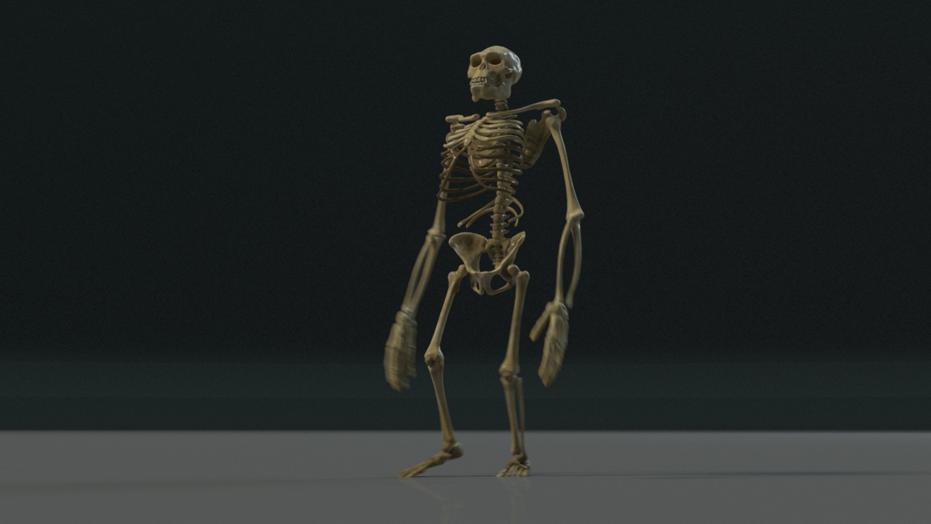 3D model kong skeleton https://p.turbosquid.com/ts-thumb/cg/mydwqb/g9d168ST/kongskeleton_redshift3d.0020/png/1502884328/1920x1080/fit_q87/8a495ff6b4a4dab29edf45f5078617bb01e1cdd8/kongskeleton_redshift3d.0020.jpg