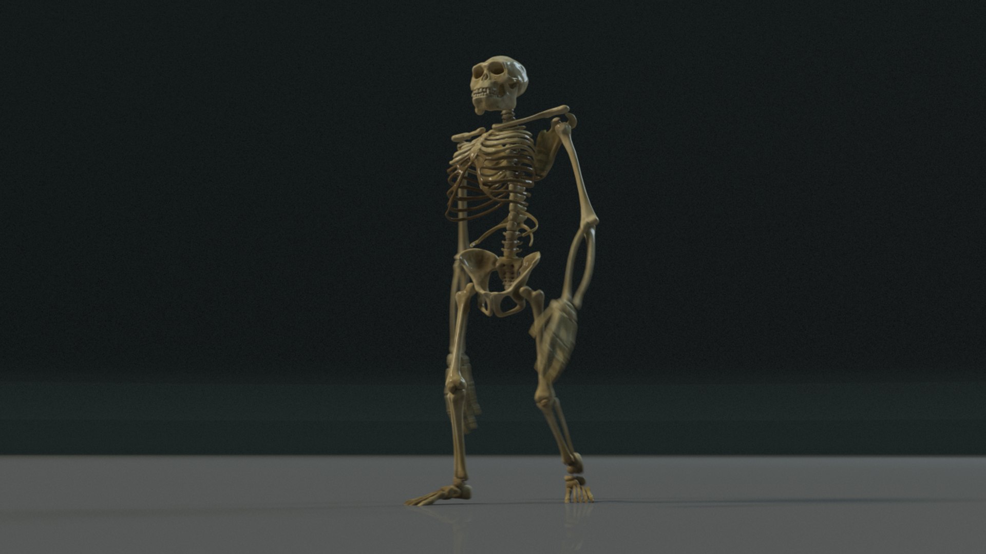 3D model kong skeleton https://p.turbosquid.com/ts-thumb/cg/mydwqb/m96ia2hD/kongskeleton_redshift3d.0029/png/1502884328/1920x1080/fit_q87/ba4bcfc936392c80aa3c3a7b13c6d48a3c773040/kongskeleton_redshift3d.0029.jpg
