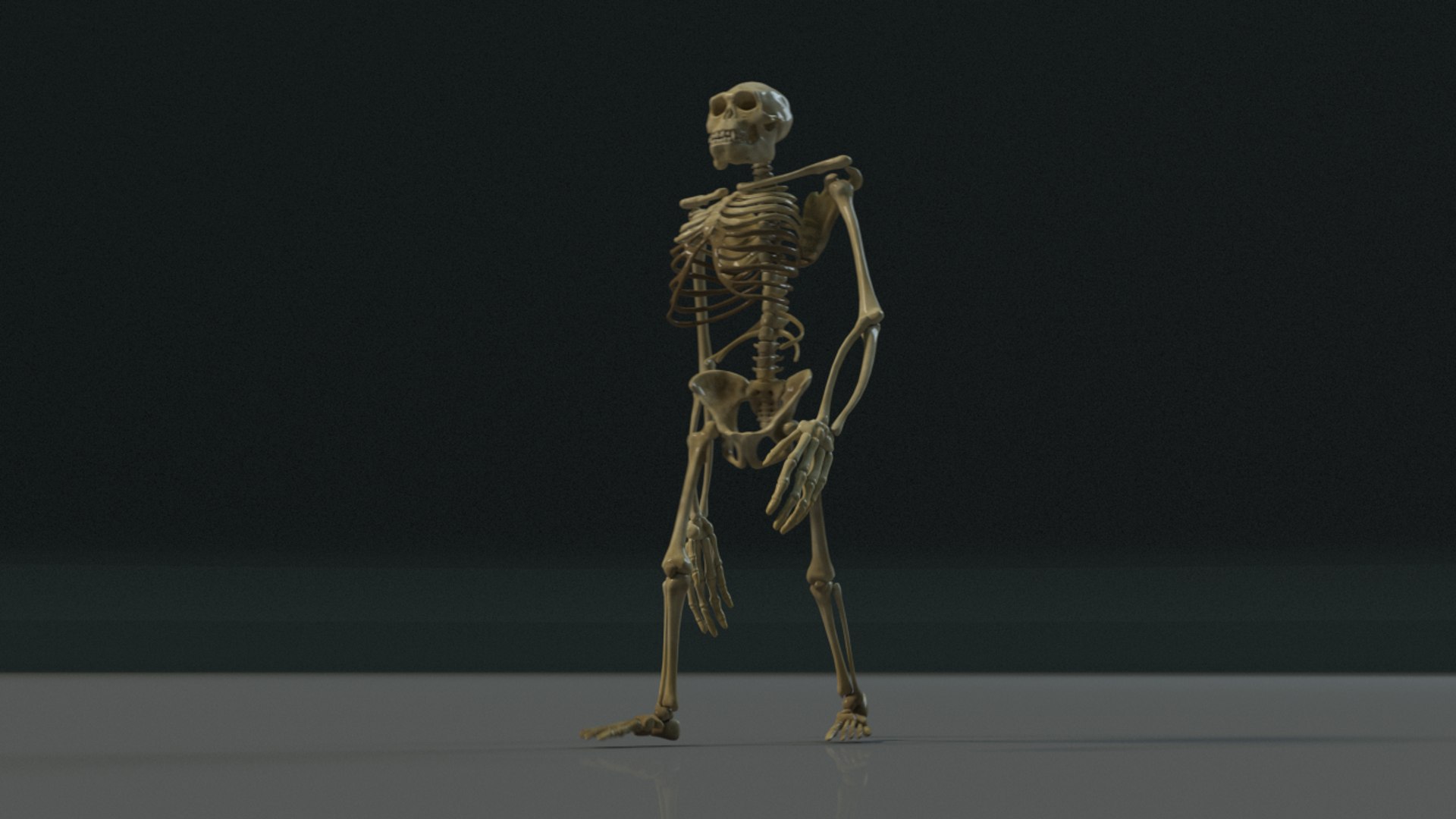 3D model kong skeleton https://p.turbosquid.com/ts-thumb/cg/mydwqb/wrRQa5eF/kongskeleton_redshift3d.0026/png/1502884328/1920x1080/fit_q87/118f75baf4ec9ada1d3d9711a955034dc326bafa/kongskeleton_redshift3d.0026.jpg
