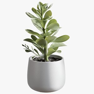 Potted Faux Succulent