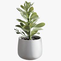 Potted Faux Succulent