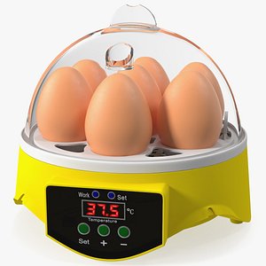 Incubator With Eggs 3D model