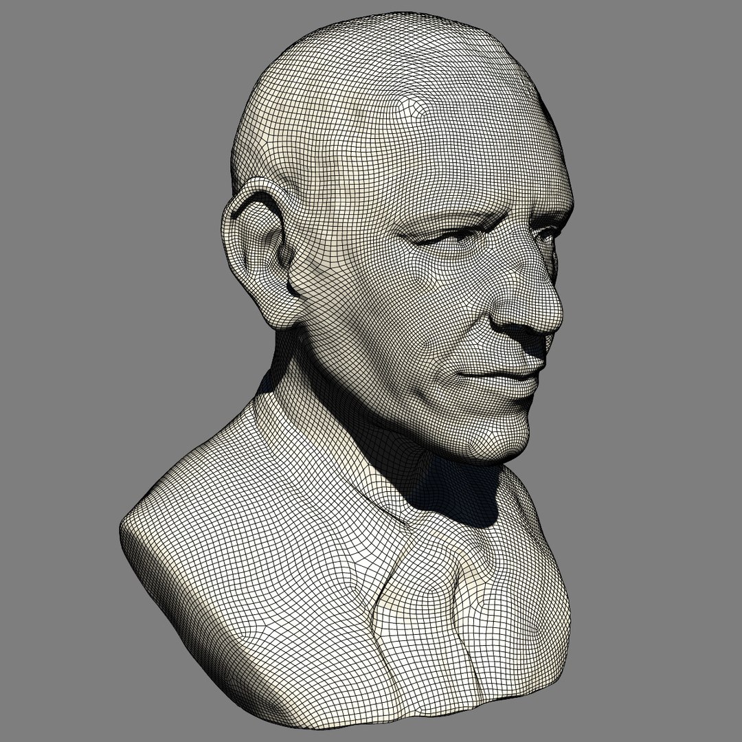 decorative bust barack obama 3d model https://p.turbosquid.com/ts-thumb/ch/AAUQJp/a8t54J3O/wire1/jpg/1338312329/1920x1080/fit_q87/15f4dc6091c4aa625c033540ef8f13f179c631d8/wire1.jpg