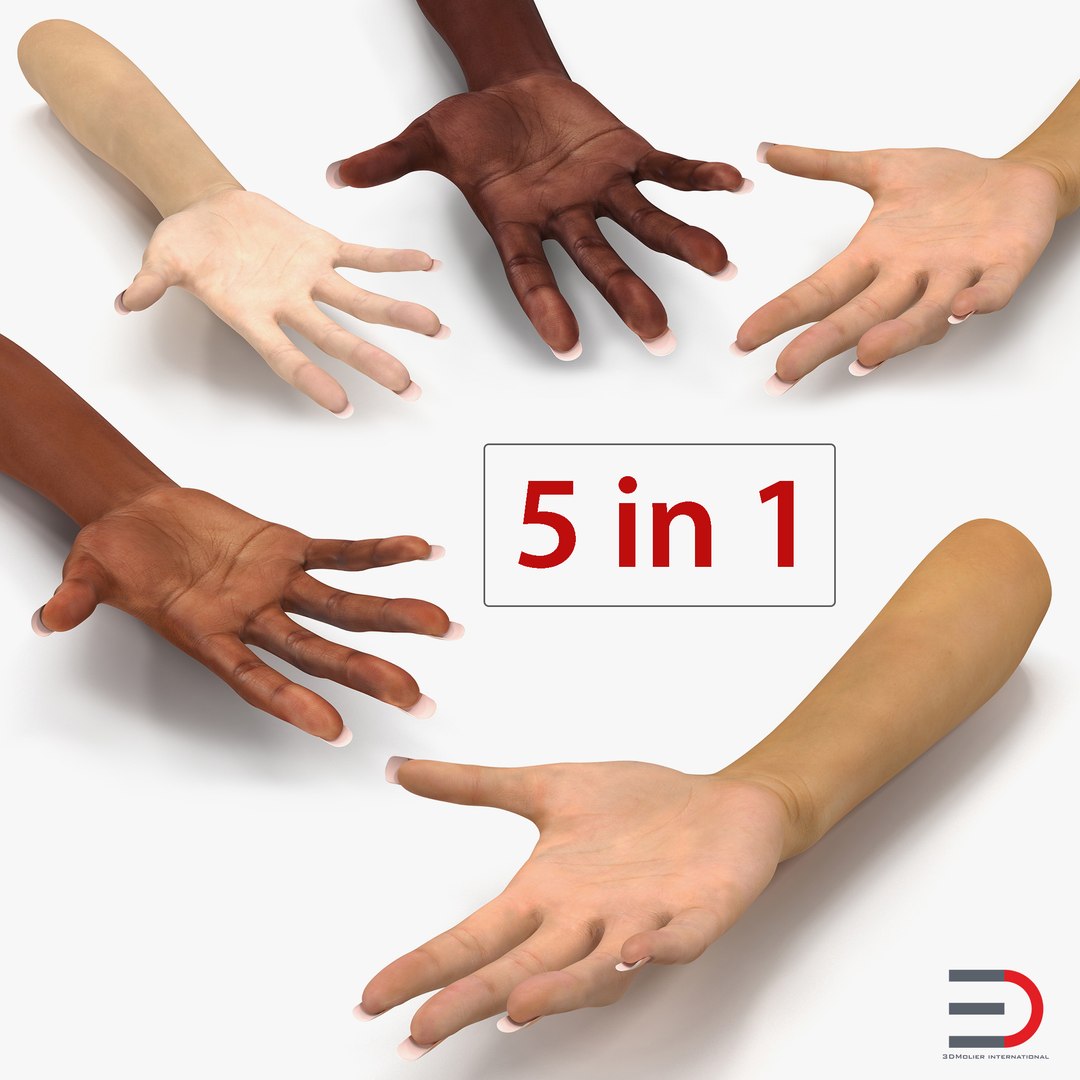Female Rigged Hands 3D Models Collection 3D model preview