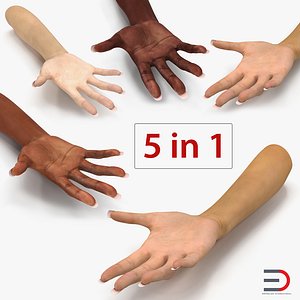 female rigged hands 3D model