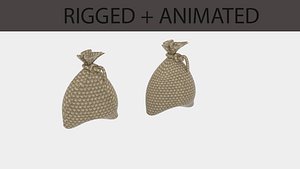 bag sack anim 3D