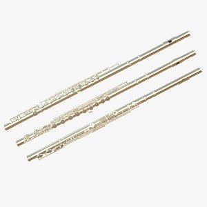 3D Concert Flute silver