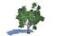 Forest trees collection
