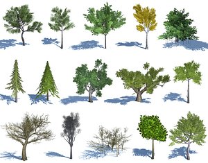 natural forest trees 3D