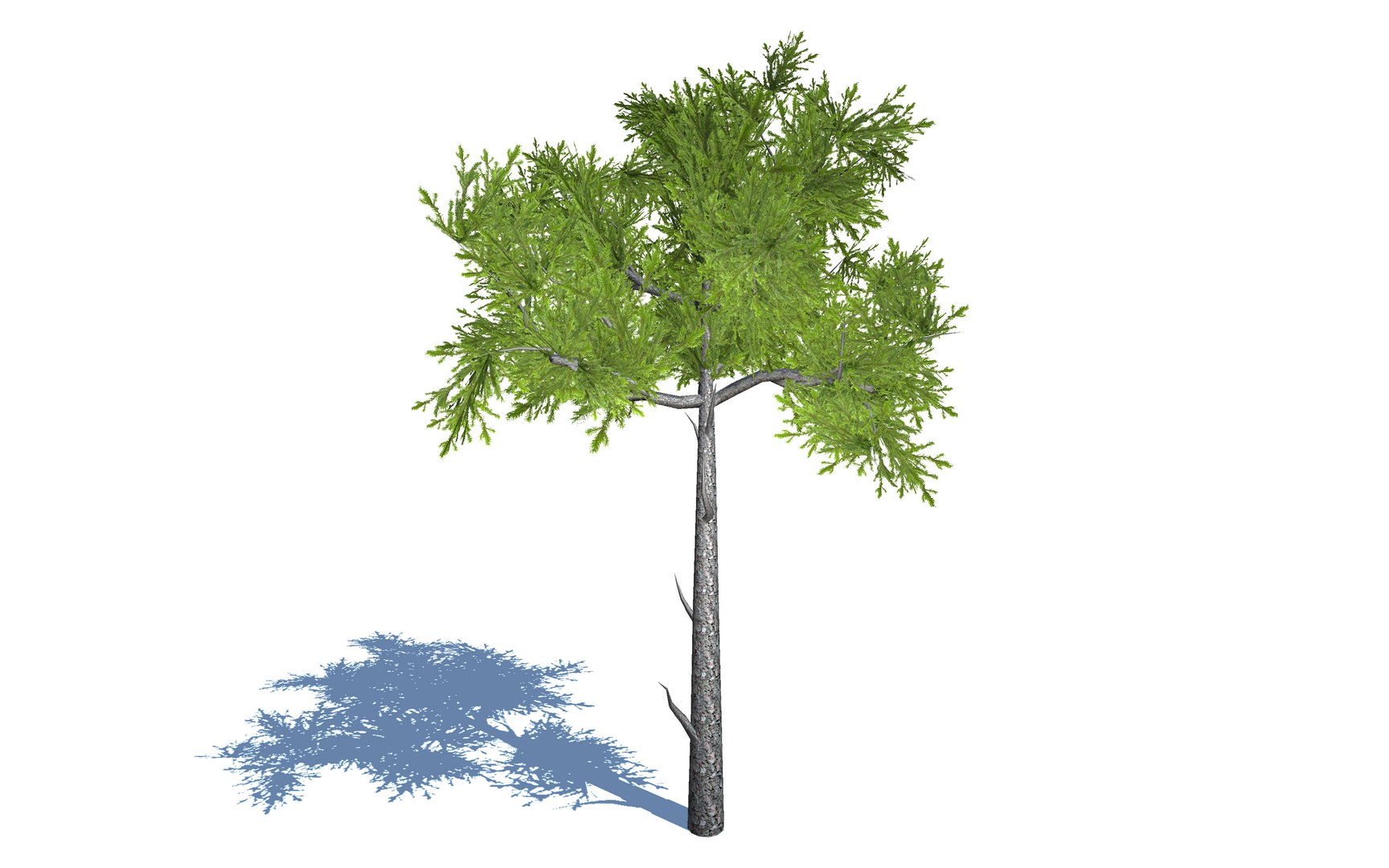 natural forest trees 3D https://p.turbosquid.com/ts-thumb/ch/jfDcHk/ZlA1Gh0H/forest_environment_trees_mega_pack_view19/jpg/1583573005/1920x1080/fit_q87/bb779b19d5efd059563d0e4f9003f3f91f0dfbec/forest_environment_trees_mega_pack_view19.jpg
