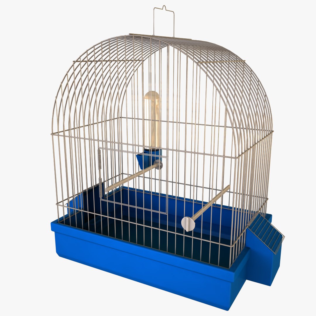 birdcage bird cage 3d model https://p.turbosquid.com/ts-thumb/ch/uv7wTL/8Ll65bRT/5copy/jpg/1431713932/1920x1080/fit_q87/02196c10b4598fb8baaea05141aad80dda2b2e7e/5copy.jpg