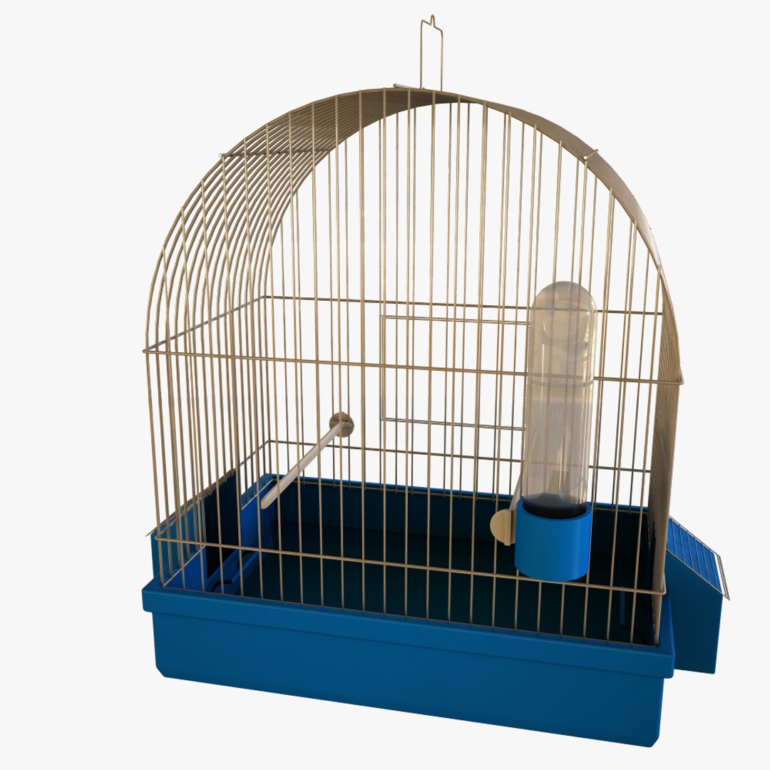 birdcage bird cage 3d model https://p.turbosquid.com/ts-thumb/ch/uv7wTL/heEvVG1T/3copy/jpg/1431713932/1920x1080/fit_q87/24af9093e11abe15efa9826d95da83ad2651ba0a/3copy.jpg