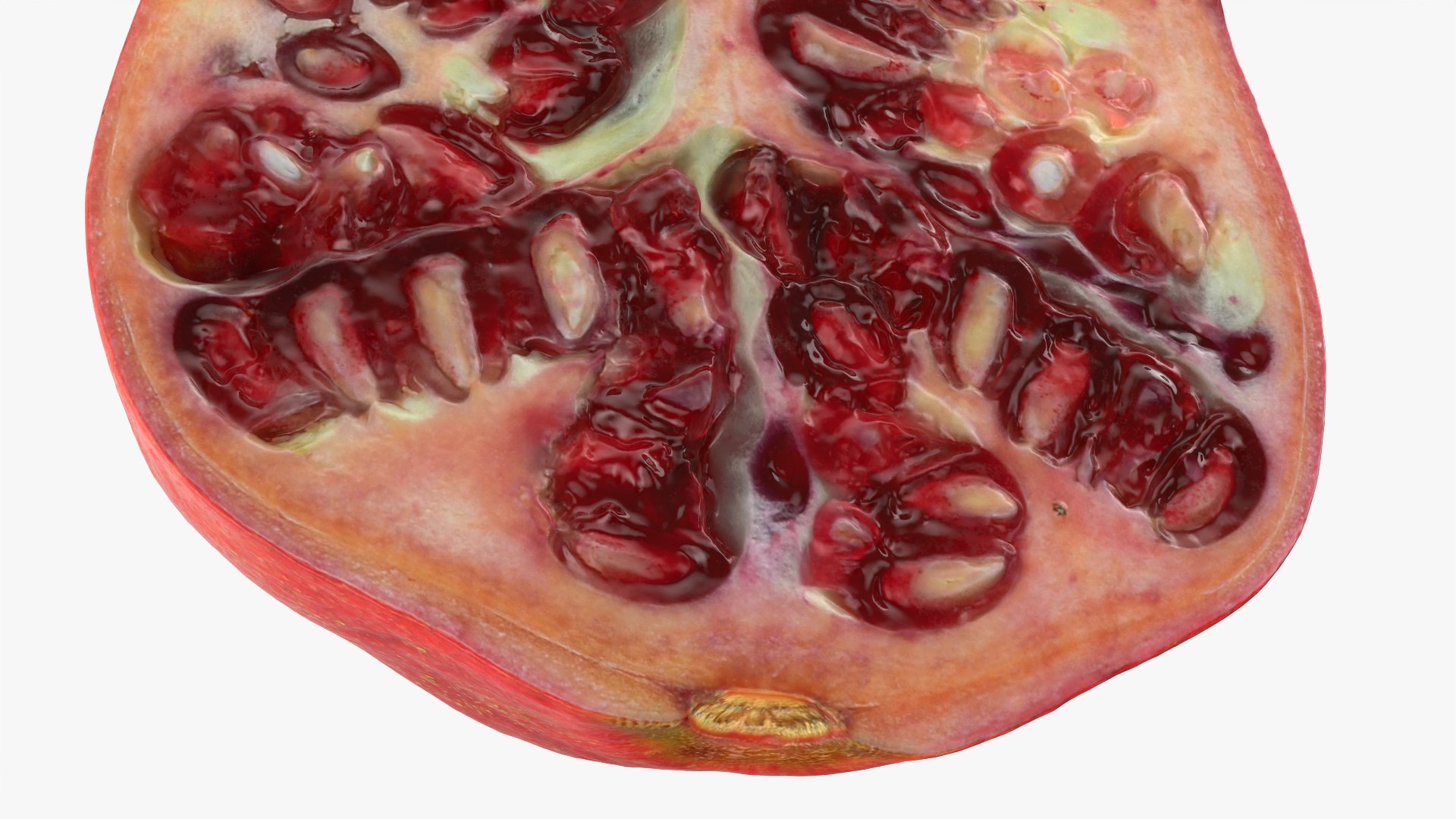 Pomegranate Half 02 model https://p.turbosquid.com/ts-thumb/ci/3IQDeX/NN/halfpomegranate02_0012/png/1761040075/1920x1080/fit_q87/03c14d5a4a487f8c2bf26f1853e81cc7686096ec/halfpomegranate02_0012.jpg