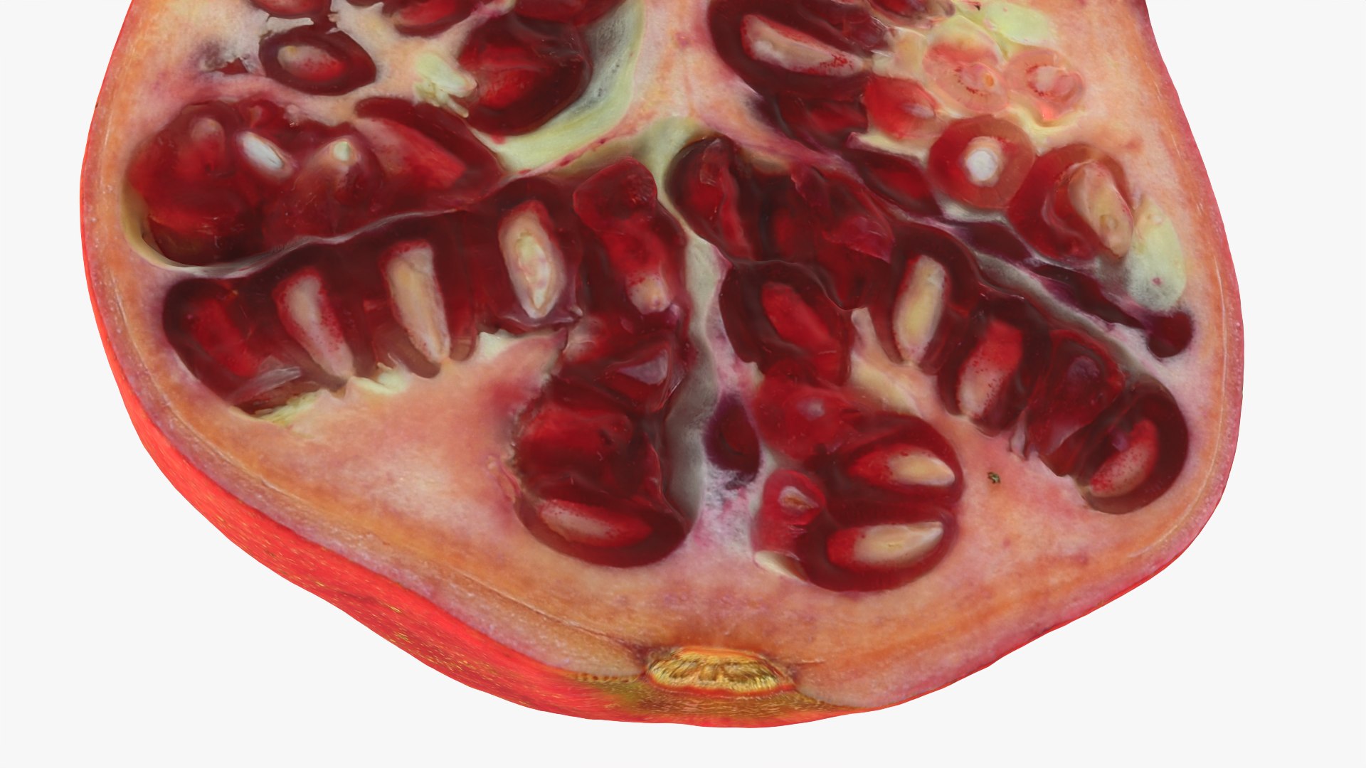 Pomegranate Half 02 model https://p.turbosquid.com/ts-thumb/ci/3IQDeX/Xf/halfpomegranate02_0012b/png/1761040072/1920x1080/fit_q87/8629be65a112a824d3008c6b23f8ae5bdcf44553/halfpomegranate02_0012b.jpg