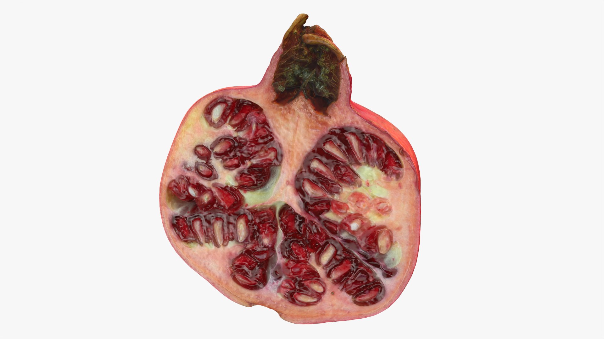 Pomegranate Half 02 model https://p.turbosquid.com/ts-thumb/ci/3IQDeX/qy/halfpomegranate02_0006/png/1761040059/1920x1080/fit_q87/2f19426c244c2386c588c21171d4175c28c9987f/halfpomegranate02_0006.jpg