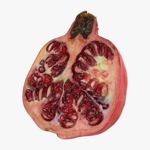 Pomegranate Half 02 model