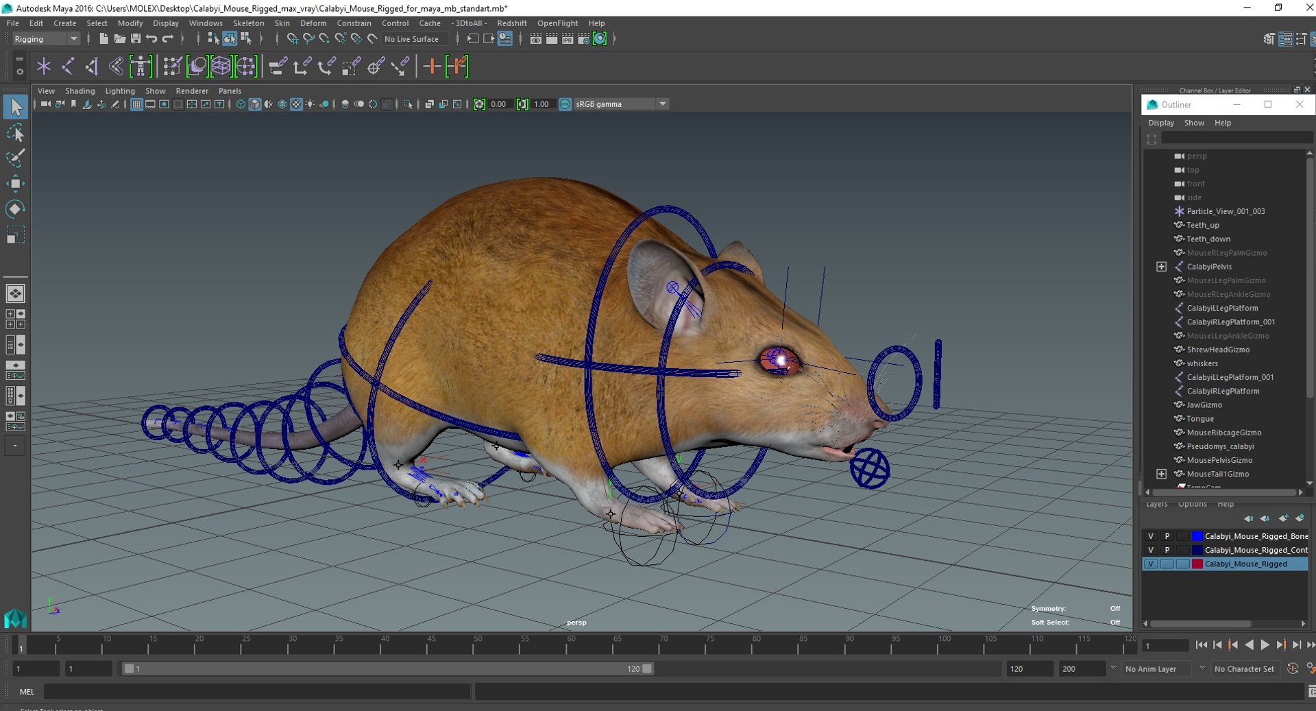 3D model Calabyi Mouse Rigged for Maya https://p.turbosquid.com/ts-thumb/ci/I4Jj9b/FC/calabyimouseriggedformaya3dsmodel040/jpg/1714017641/1920x1080/fit_q87/1bae19fc7c7a4b42f179a82cedda5564213b4df9/calabyimouseriggedformaya3dsmodel040.jpg