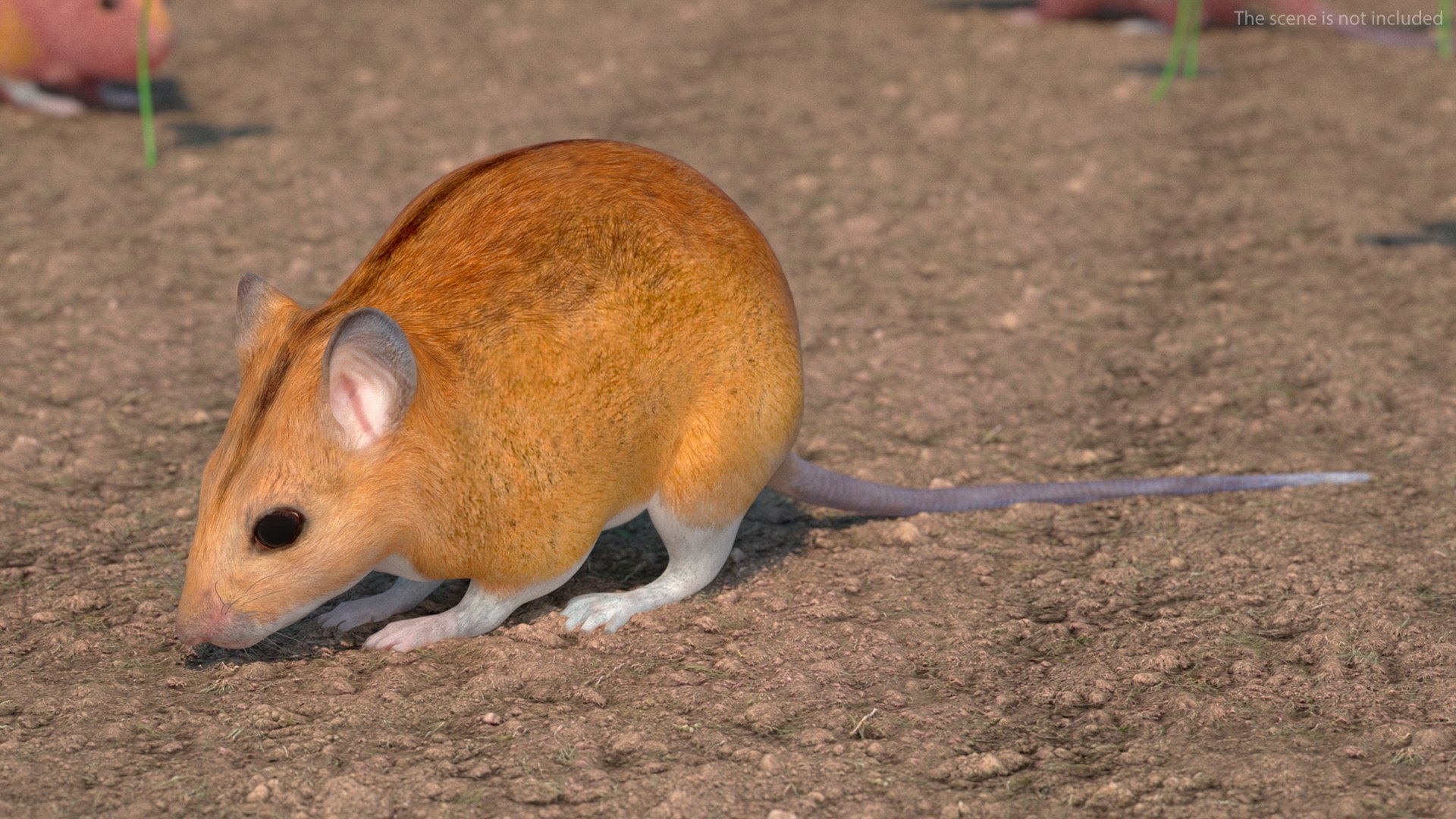 3D model Calabyi Mouse Rigged for Maya https://p.turbosquid.com/ts-thumb/ci/I4Jj9b/Sn/calabyimouseriggedformaya3dsmodel005/jpg/1714017456/1920x1080/fit_q87/52a1a97b9d5e9834259844acbf6976585f5fac47/calabyimouseriggedformaya3dsmodel005.jpg