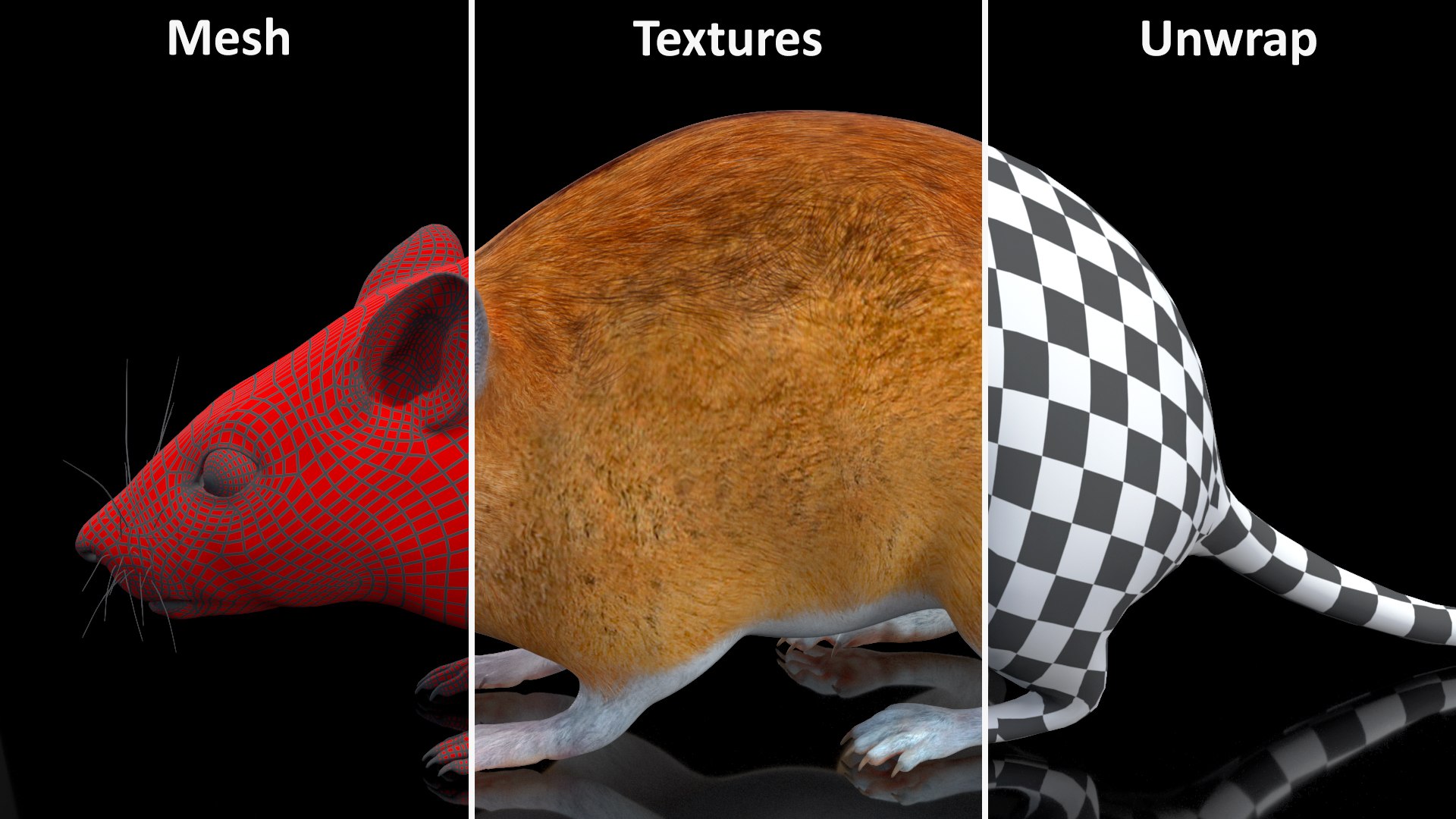 3D model Calabyi Mouse Rigged for Maya https://p.turbosquid.com/ts-thumb/ci/I4Jj9b/T2/calabyimouseriggedformaya3dsmodel026/jpg/1714017568/1920x1080/fit_q87/4e1e0aeb0172343ae556ad26c3e61e7167ea6f50/calabyimouseriggedformaya3dsmodel026.jpg