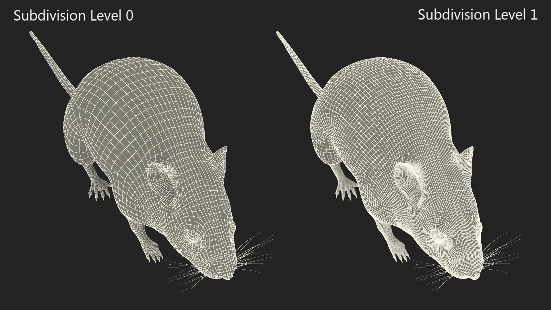 3D model Calabyi Mouse Rigged for Maya https://p.turbosquid.com/ts-thumb/ci/I4Jj9b/cB/calabyimouseriggedformaya3dsmodel028/jpg/1714017577/1920x1080/fit_q87/208ecb4de558ff1b3b647e7ef0b876c38e6f12c7/calabyimouseriggedformaya3dsmodel028.jpg
