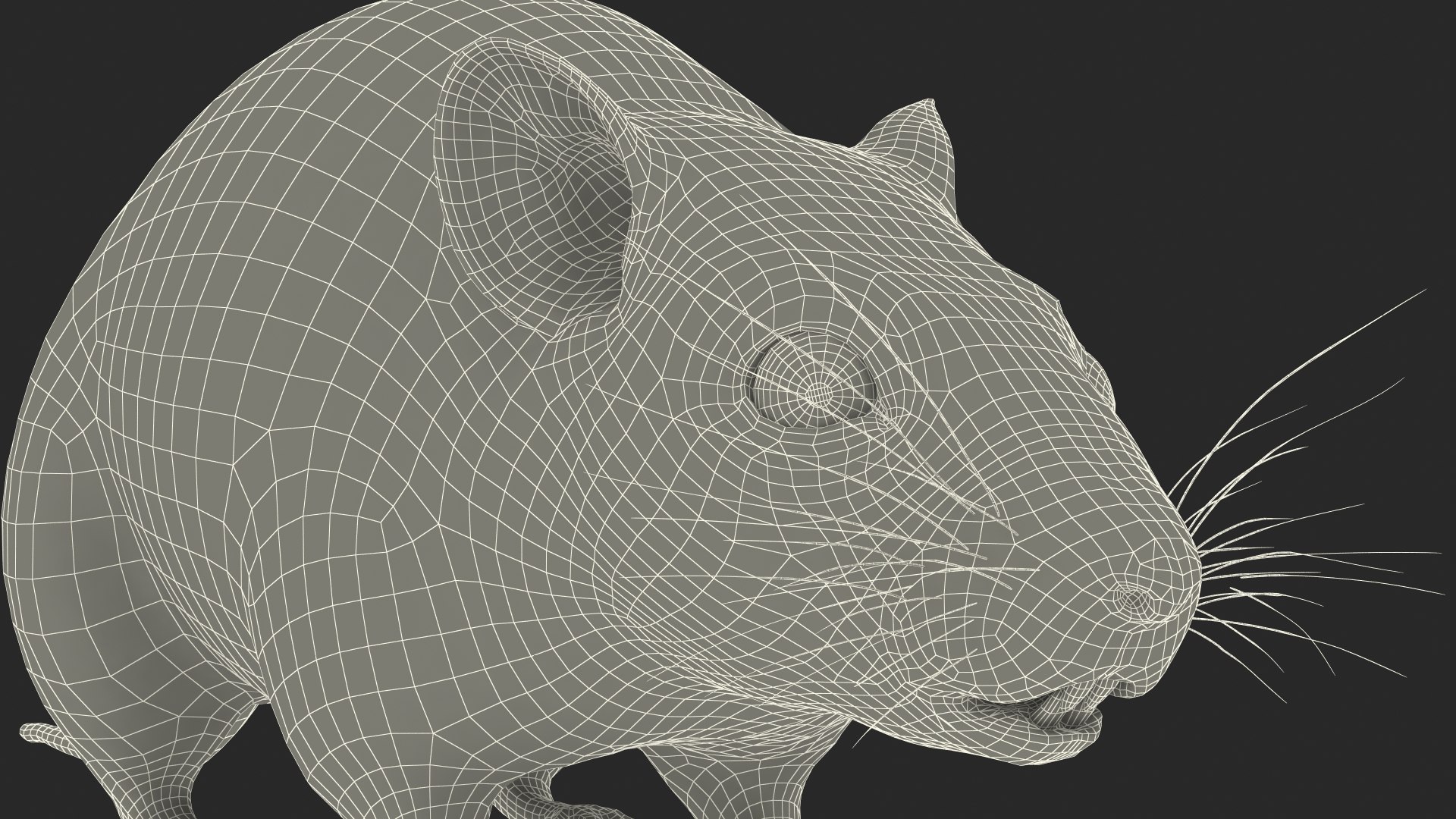 3D model Calabyi Mouse Rigged for Maya https://p.turbosquid.com/ts-thumb/ci/I4Jj9b/l9/calabyimouseriggedformaya3dsmodel036/jpg/1714017621/1920x1080/fit_q87/0ffc672706ca9c505ab699c7786b039470fe473e/calabyimouseriggedformaya3dsmodel036.jpg