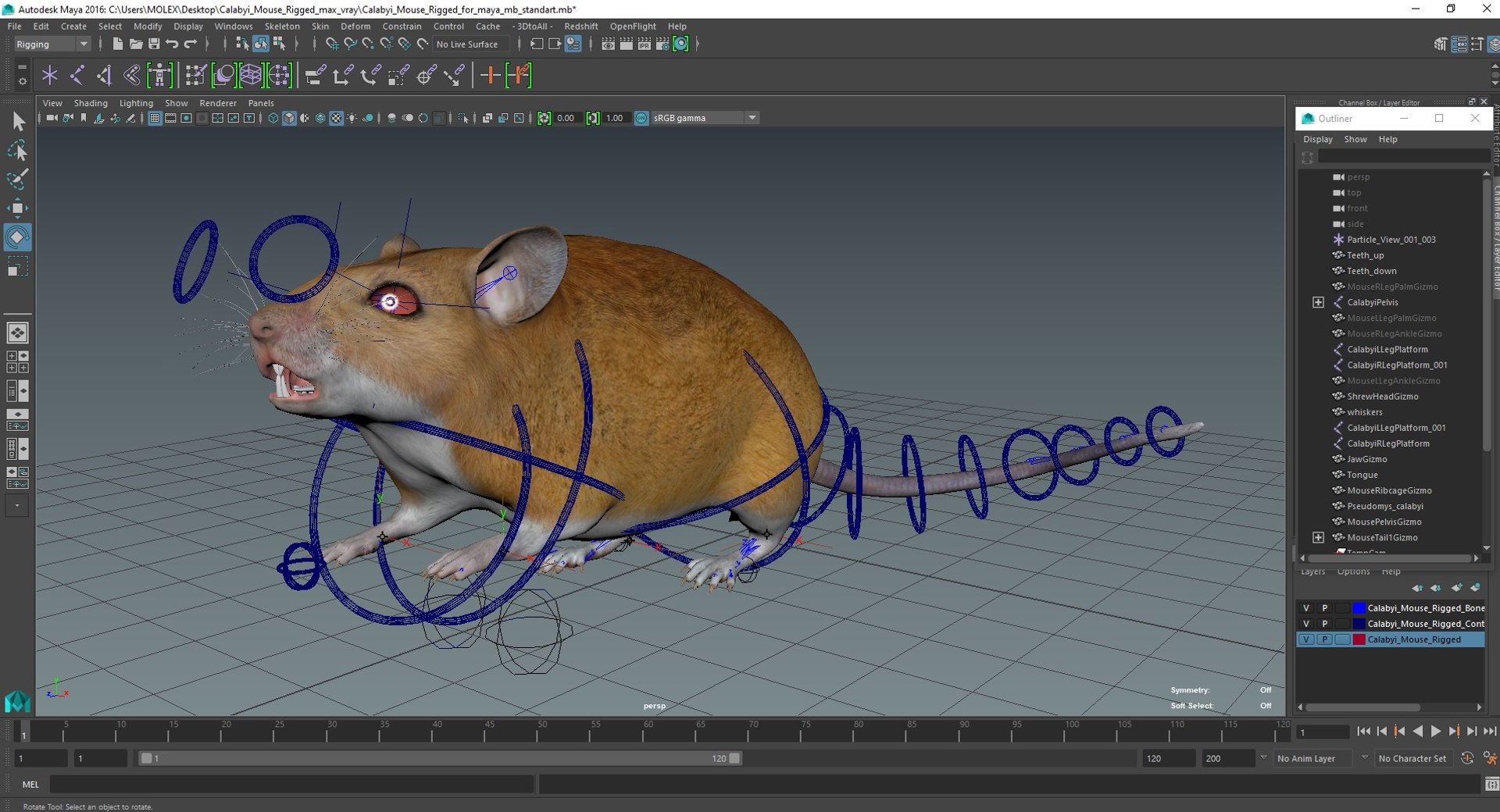 3D model Calabyi Mouse Rigged for Maya https://p.turbosquid.com/ts-thumb/ci/I4Jj9b/y1/calabyimouseriggedformaya3dsmodel043/jpg/1714017658/1920x1080/fit_q87/784e25e3c2c9bdb2f6a5fcdda77fc2a0fc318915/calabyimouseriggedformaya3dsmodel043.jpg