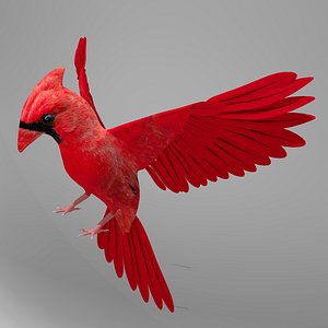 3d model northern cardinal