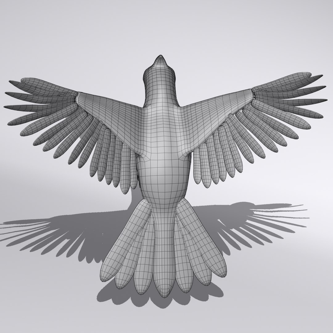 3d Model Northern Cardinal