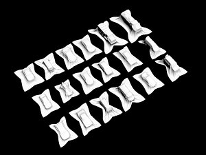 3D present car transport cover