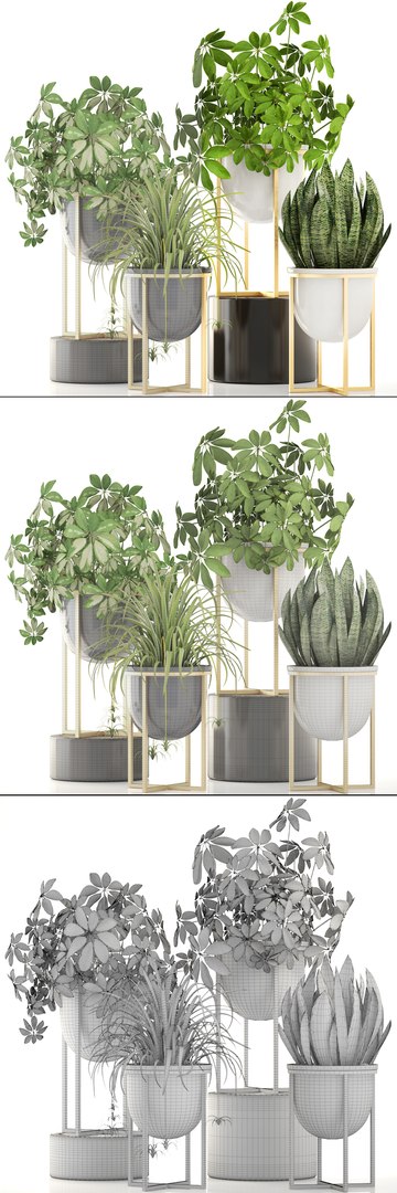 3D Pots West Elm - TurboSquid 1261090