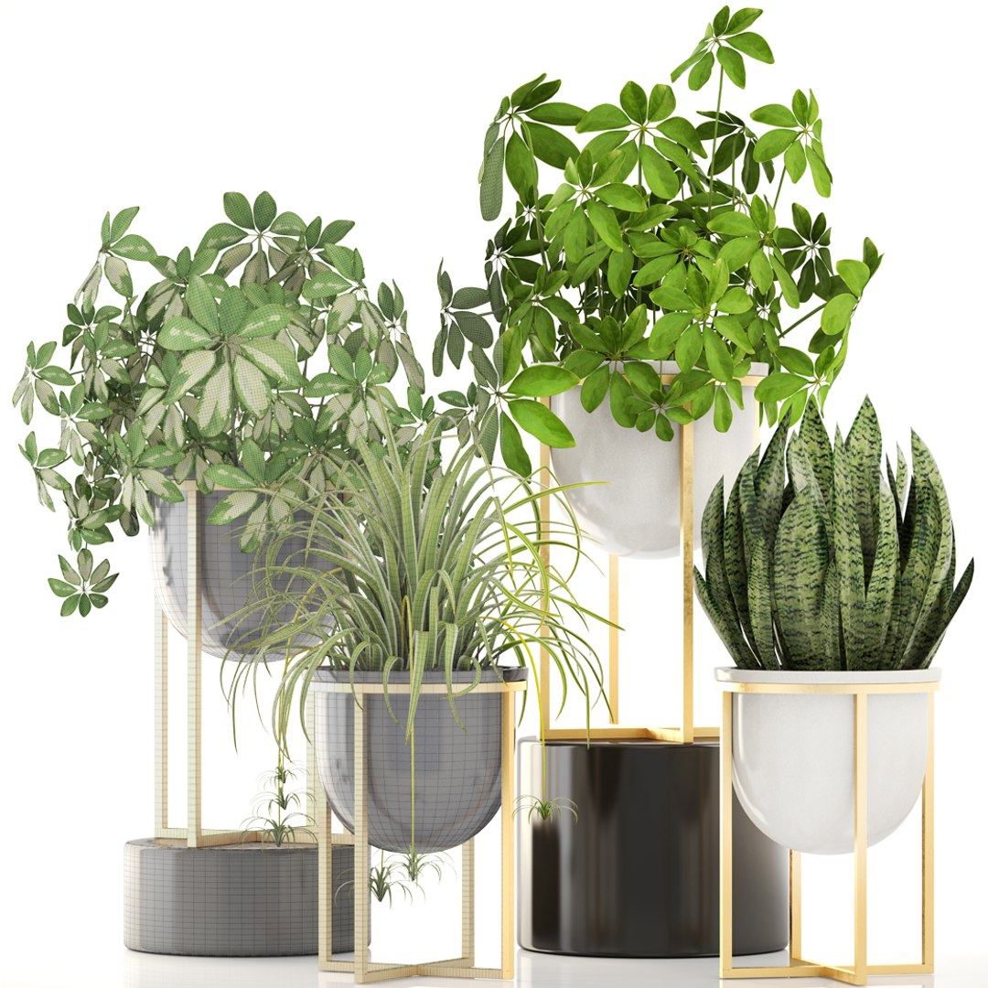 3D Pots West Elm - TurboSquid 1261090