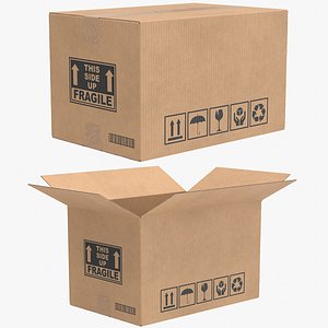 3D Cardboard Box 3 V1 Collection