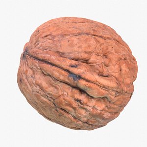 Walnut fruit 07 high-poly 3D model