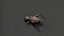 3D insect