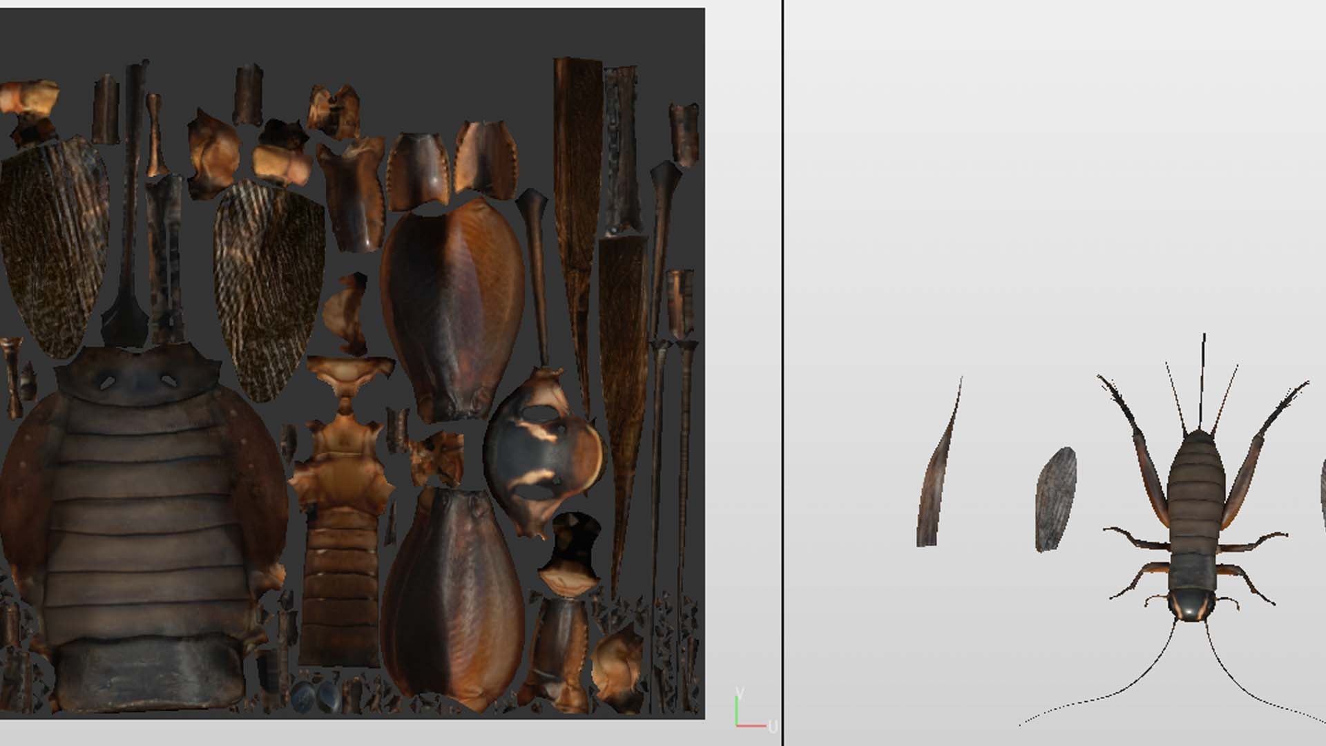 3D Insect - TurboSquid 2464495