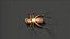 3D insect