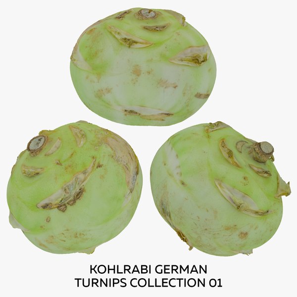 3D model Kohlrabi German Turnips Collection 01 - 3 models RAW Scans