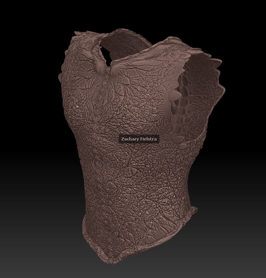 3ds dragon vest https://p.turbosquid.com/ts-thumb/cj/4G2hY1/kyXcg5l6/34ths/jpg/1335220850/1920x1080/fit_q87/a066890485065b3875e5e7a75ad8ee69fe3f875d/34ths.jpg