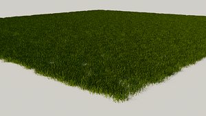 3D cut grass