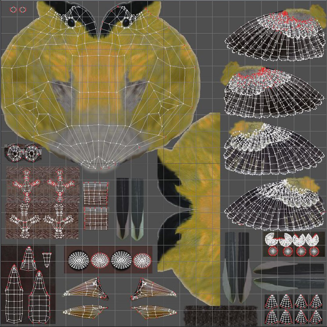 lwo goldfinch rigged animation https://p.turbosquid.com/ts-thumb/cj/VrGkgG/4osZP6rQ/gfinchuvforturbo/jpg/1347248960/1920x1080/fit_q87/ccb6f2d331a5cfd5dc8c93d995f1fbdc8749a2f5/gfinchuvforturbo.jpg